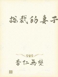总裁的妻子