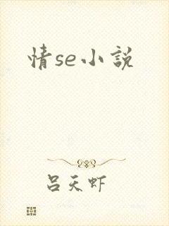 情se小说封面