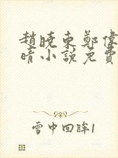 赵晓东郑伟吴雪晴小说免费阅读封面