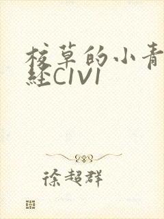 校草的小青梅不经C1V1