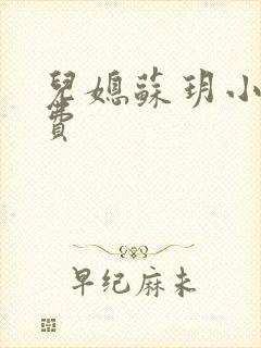 儿媳苏玥小说免费