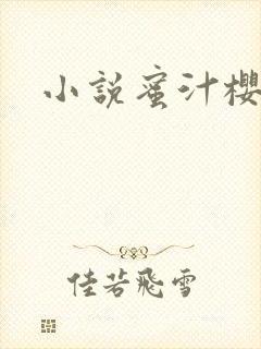 小说蜜汁樱桃