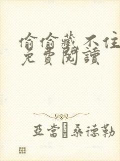 偷偷藏不住小说免费阅读
