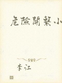 危险关系小说