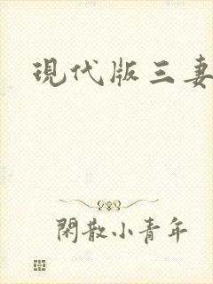 现代版三妻四妾