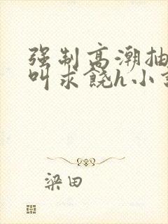 强制高潮抽搐哭叫求饶h小说封面