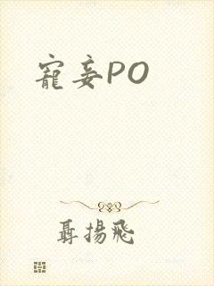 宠妾PO封面