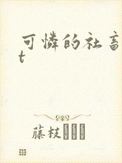 可怜的社畜txt