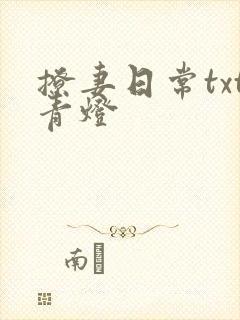 撩妻日常txt青灯