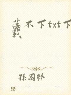 落不下txt下载
