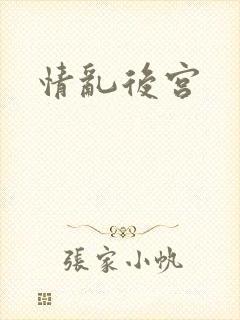 情乱后宫封面