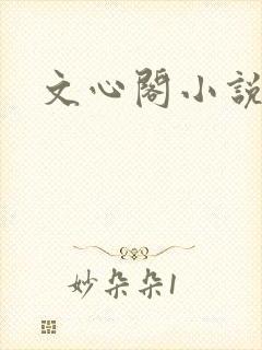 文心阁小说