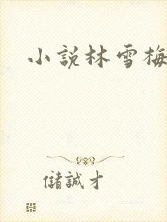 小说林雪梅