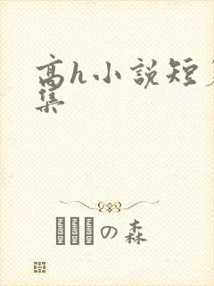 高h小说短篇合集