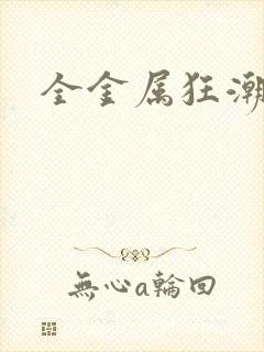 全金属狂潮小说