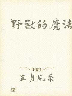野兽的魔法师