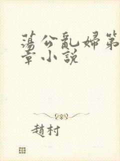 荡公乱妇第51章小说