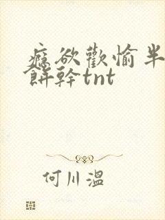瘾欲欢愉半块小饼干tnt