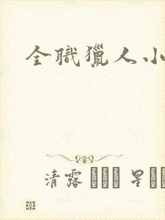 全职猎人小说
