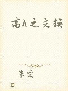 高h之交换封面