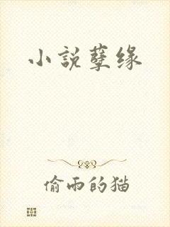 小说孽缘