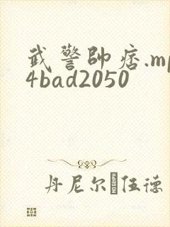 武警帅痞.mp4bad2050