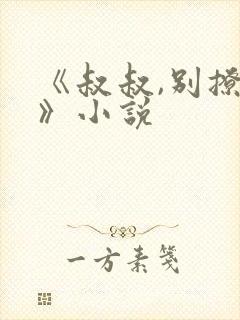 《叔叔,别撩我》小说