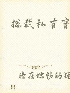 总裁私有宝贝封面