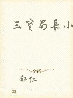 三宝局长小说封面
