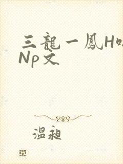 三龙一凤H啪肉Np文