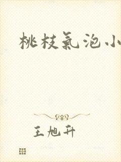 桃枝气泡小说