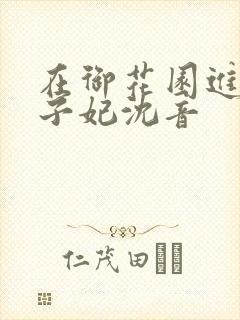 在御花园进入太子妃沈音封面