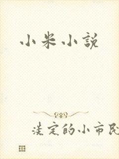 小米小说