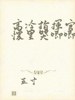 高冷指挥官在我怀里哭唧唧第二季