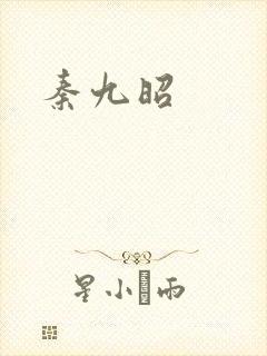 秦九昭封面