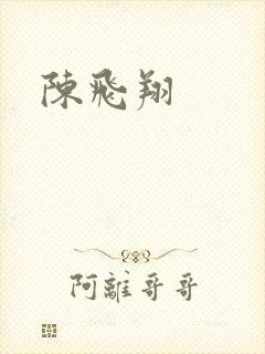 陈飞翔封面