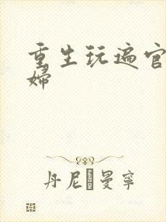 重生玩遍官场贵妇