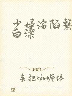 少妇沦陷系列之白洁封面