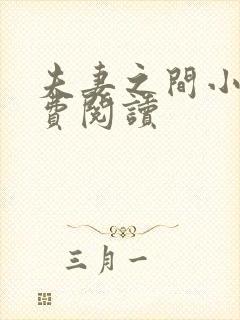 夫妻之间小说免费阅读