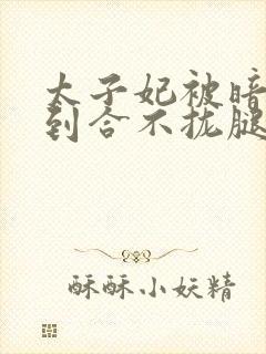 太子妃被暗卫C到合不拢腿