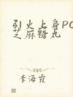 引火上身POP芝麻糖丸
