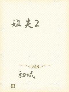 姐夫2