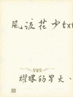 风流花少txt封面