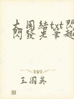 大团结txt闪闪发光笔趣阁