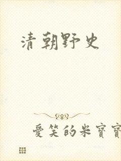 清朝野史