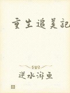 重生追美记2