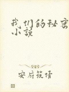 我们的秘密泰剧小说