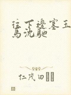 往下边塞玉器骑马沈驰封面