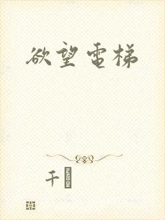 欲望电梯