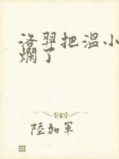 洛羿把温小辉做烂了封面